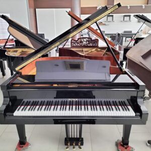 PIANO DE COLA PETROF V/3D OCASION